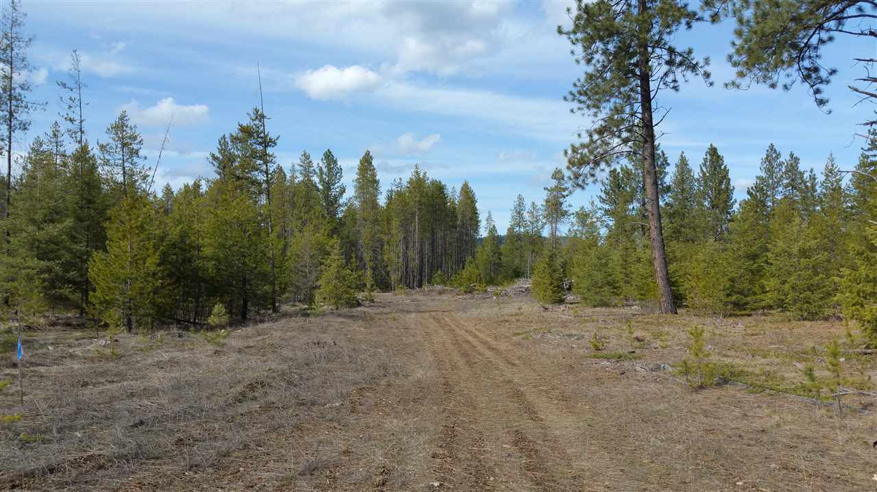 3803 East Jump Off Road Loon Lake, WA 99148 - Photo 1 of 19