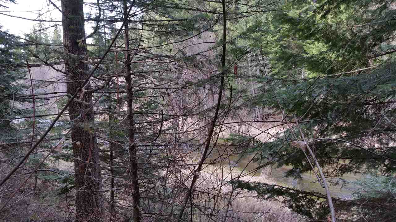 3803 East Jump Off Road Loon Lake, WA 99148 - Photo 14 of 19
