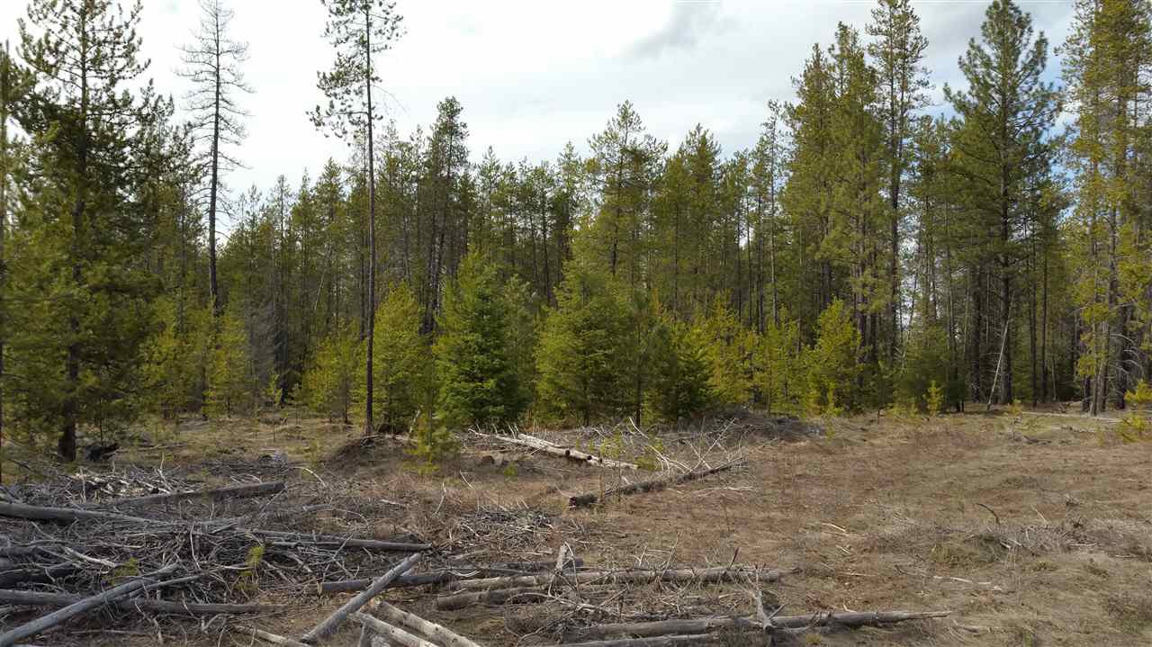 3803 East Jump Off Road Loon Lake, WA 99148 - Photo 4 of 19