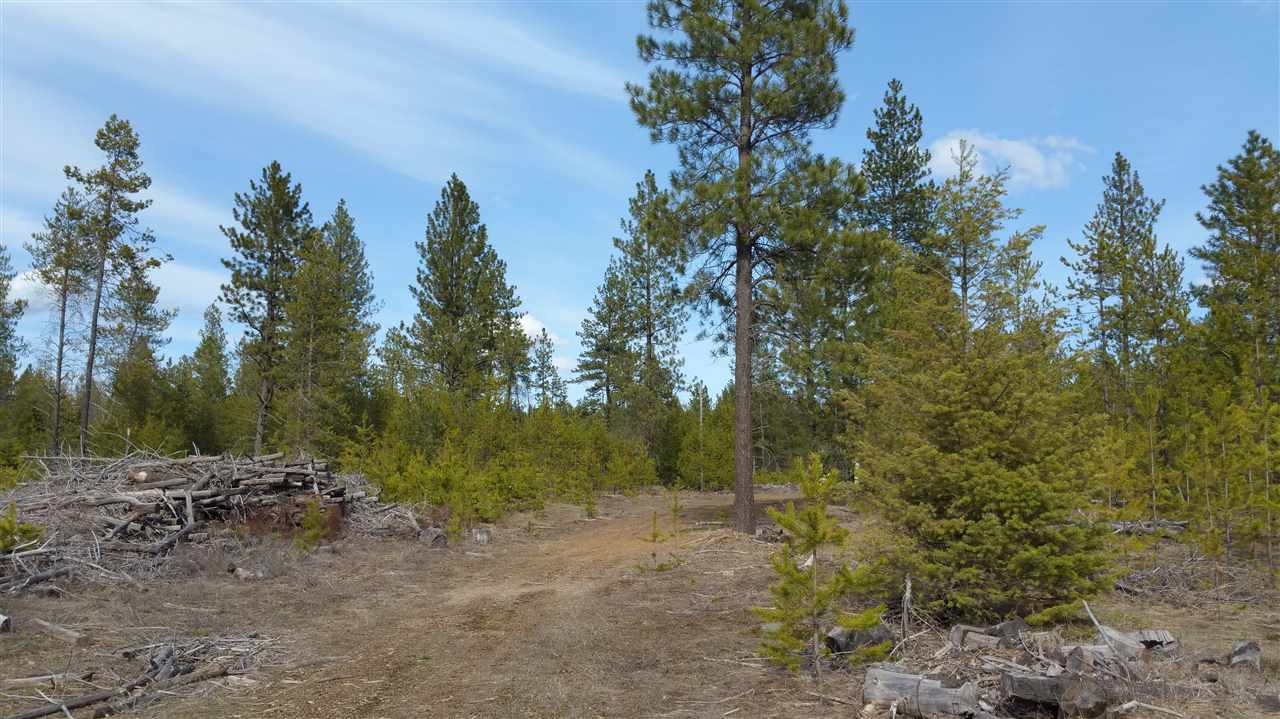 3803 East Jump Off Road Loon Lake, WA 99148 - Photo 5 of 19