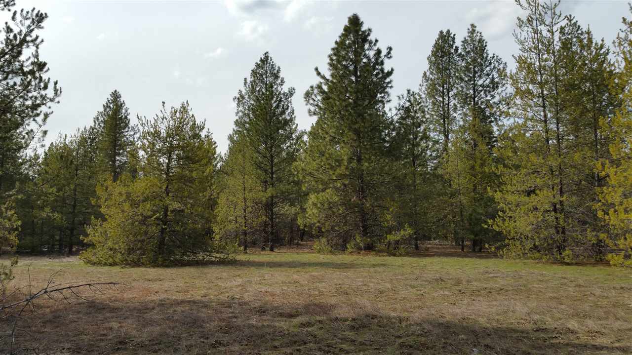 3803 East Jump Off Road Loon Lake, WA 99148 - Photo 9 of 19