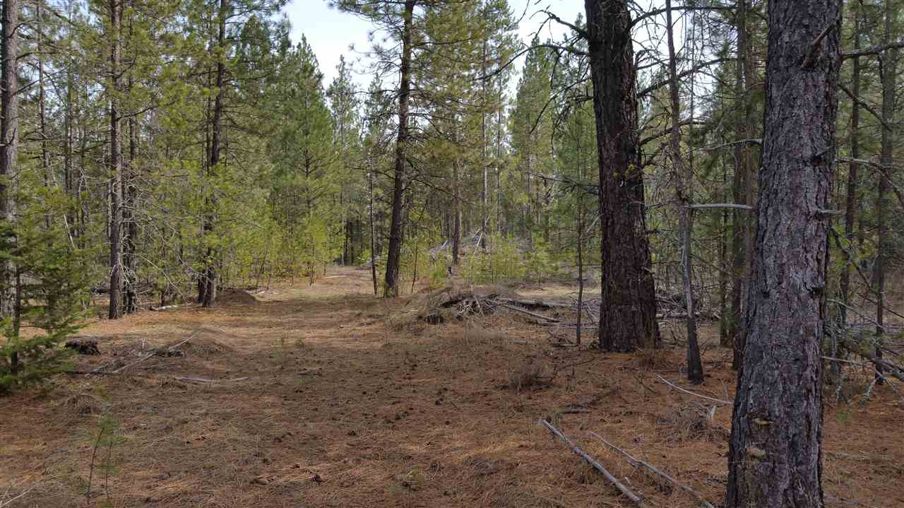 3803 East Jump Off Road Loon Lake, WA 99148 - Photo 10 of 19
