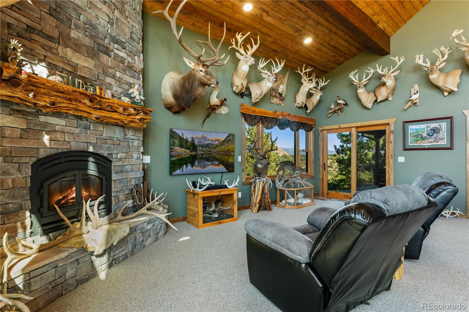 1310 Sunrise Ridge Cotopaxi, CO 81223 - Photo 20 of 50 a living room with furniture a fireplace and a large window