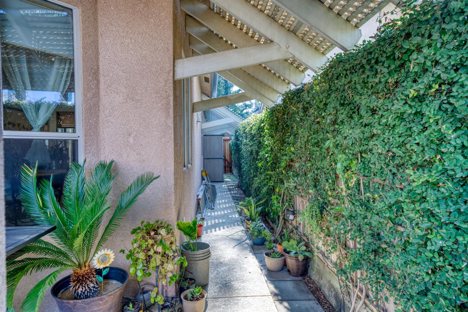 143 West Bedford Avenue Clovis, CA 93611 - Photo 46 of 55 a potted plant sitting in front of a house with potted plants