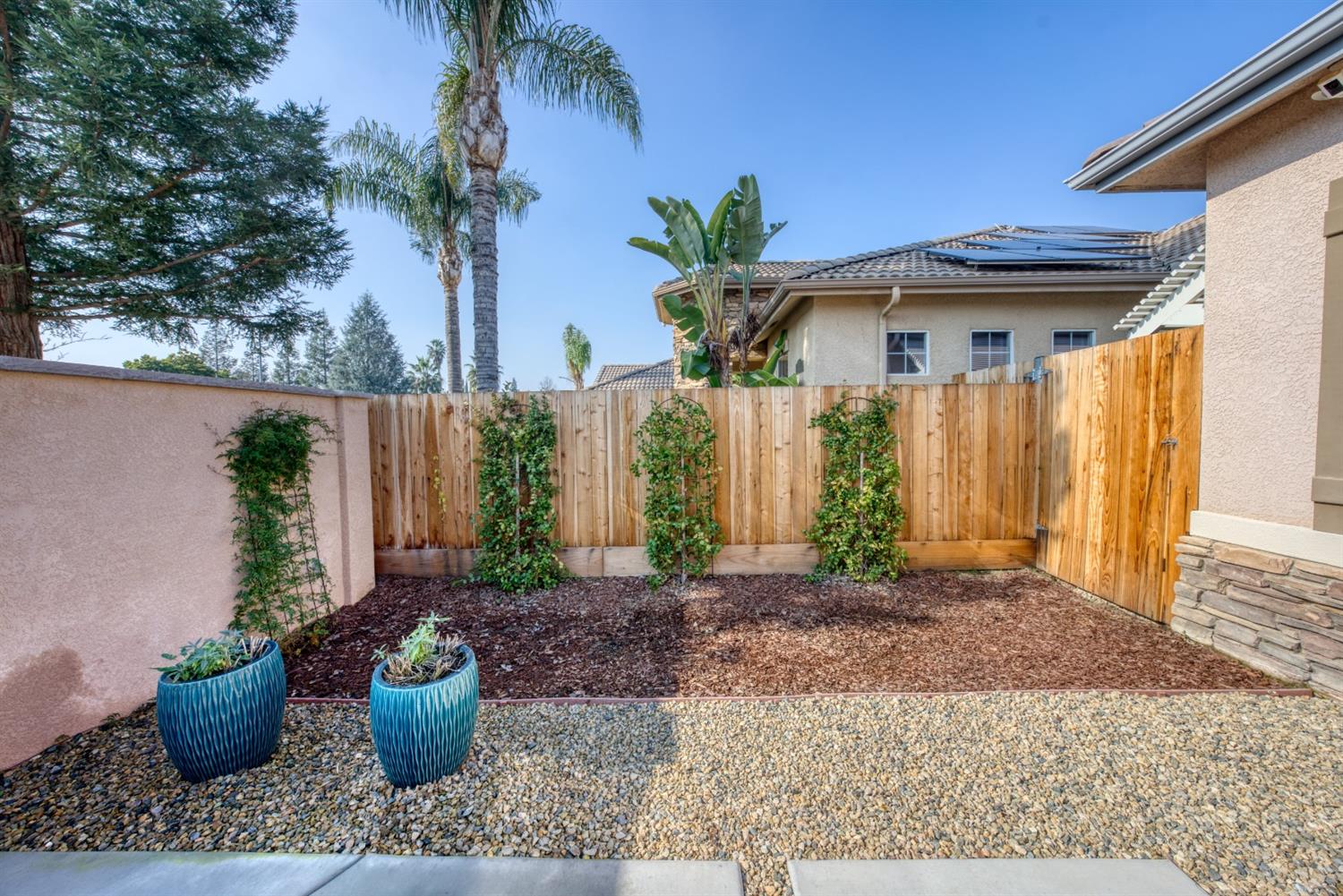 143 West Bedford Avenue Clovis, CA 93611 - Photo 6 of 55 a view of a small house with potted plants