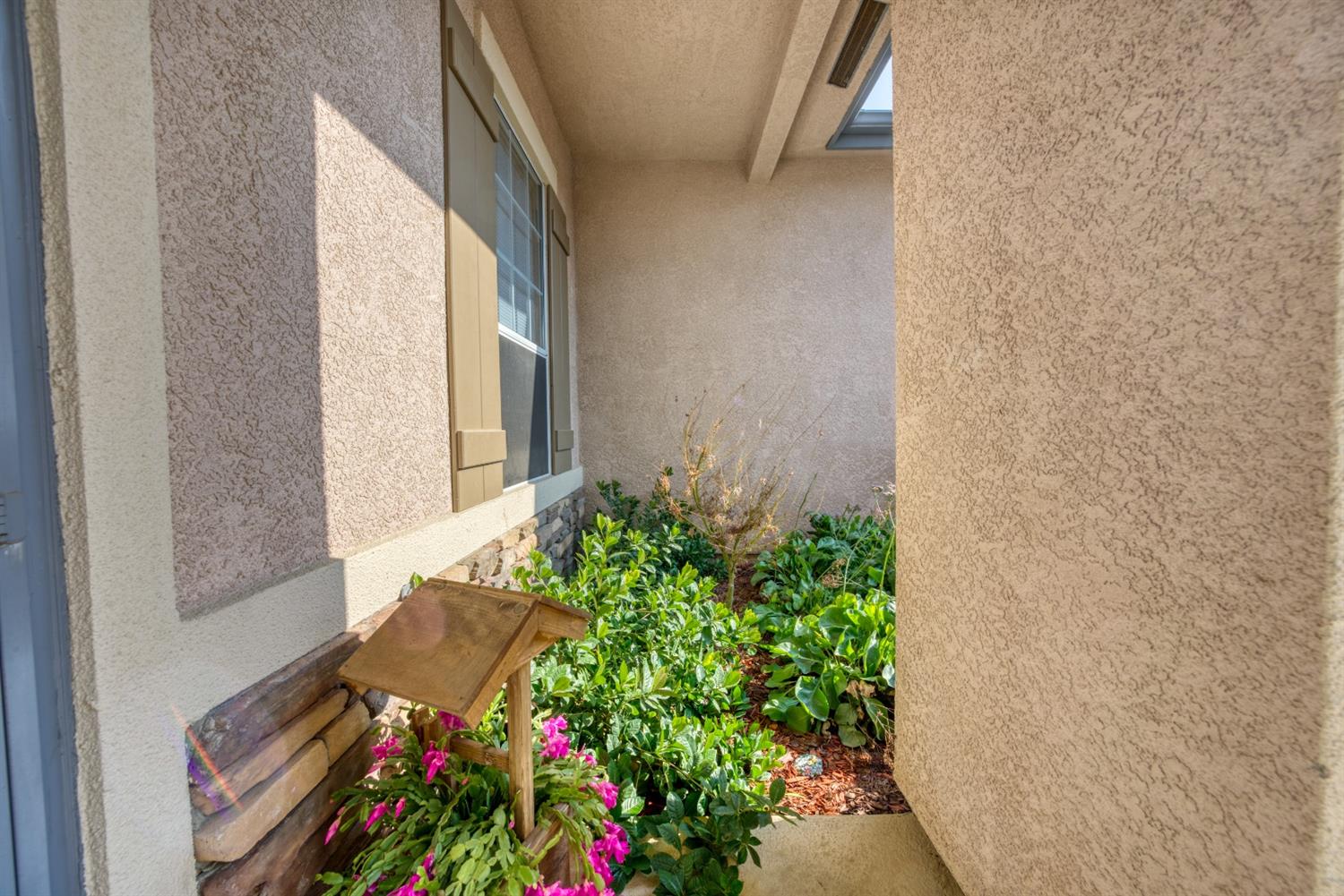 143 West Bedford Avenue Clovis, CA 93611 - Photo 7 of 55 a view of a house with a flower garden
