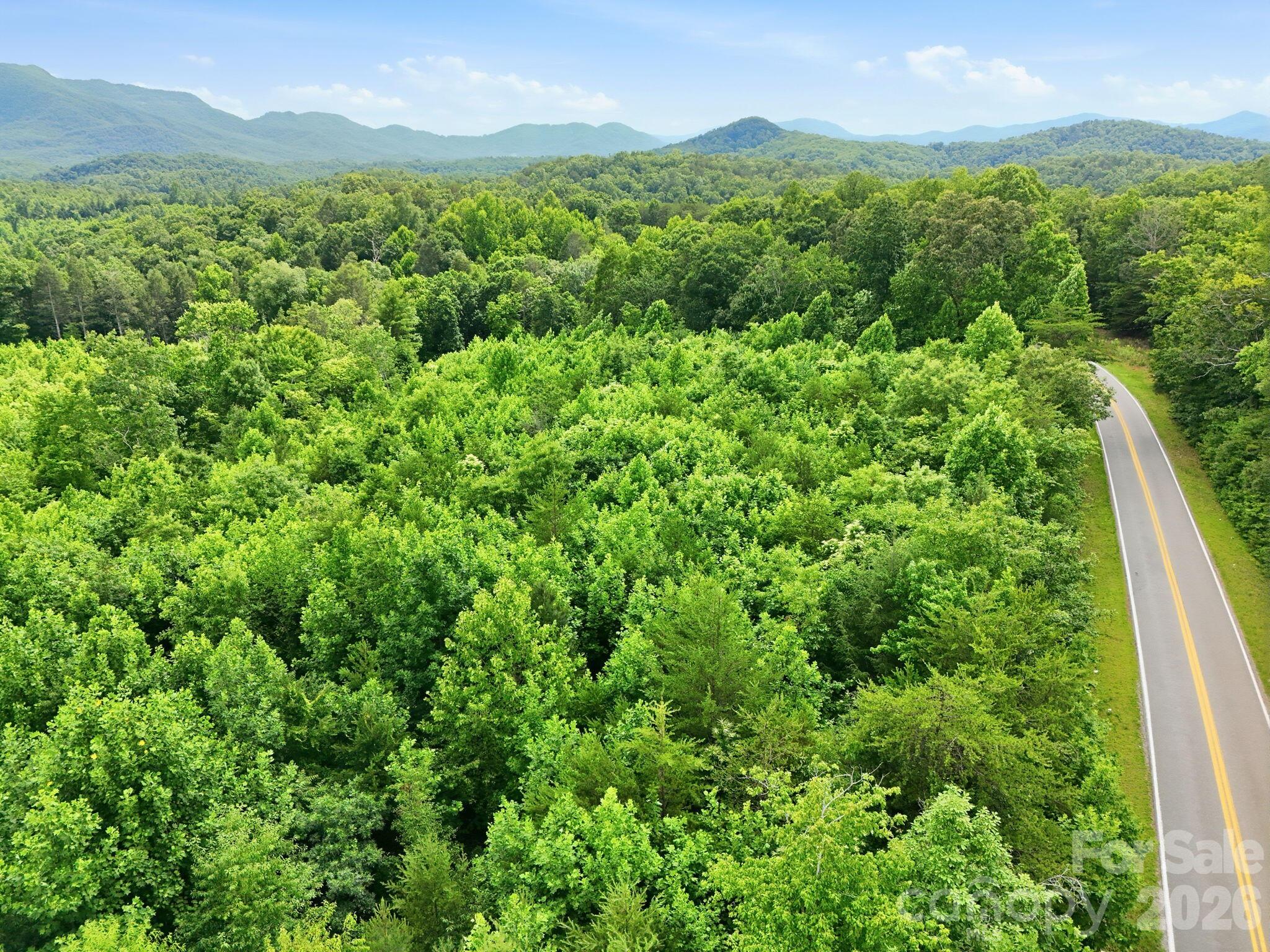 2301 Parker Padgett Road Old Fort, NC 28762 - Photo 13 of 17