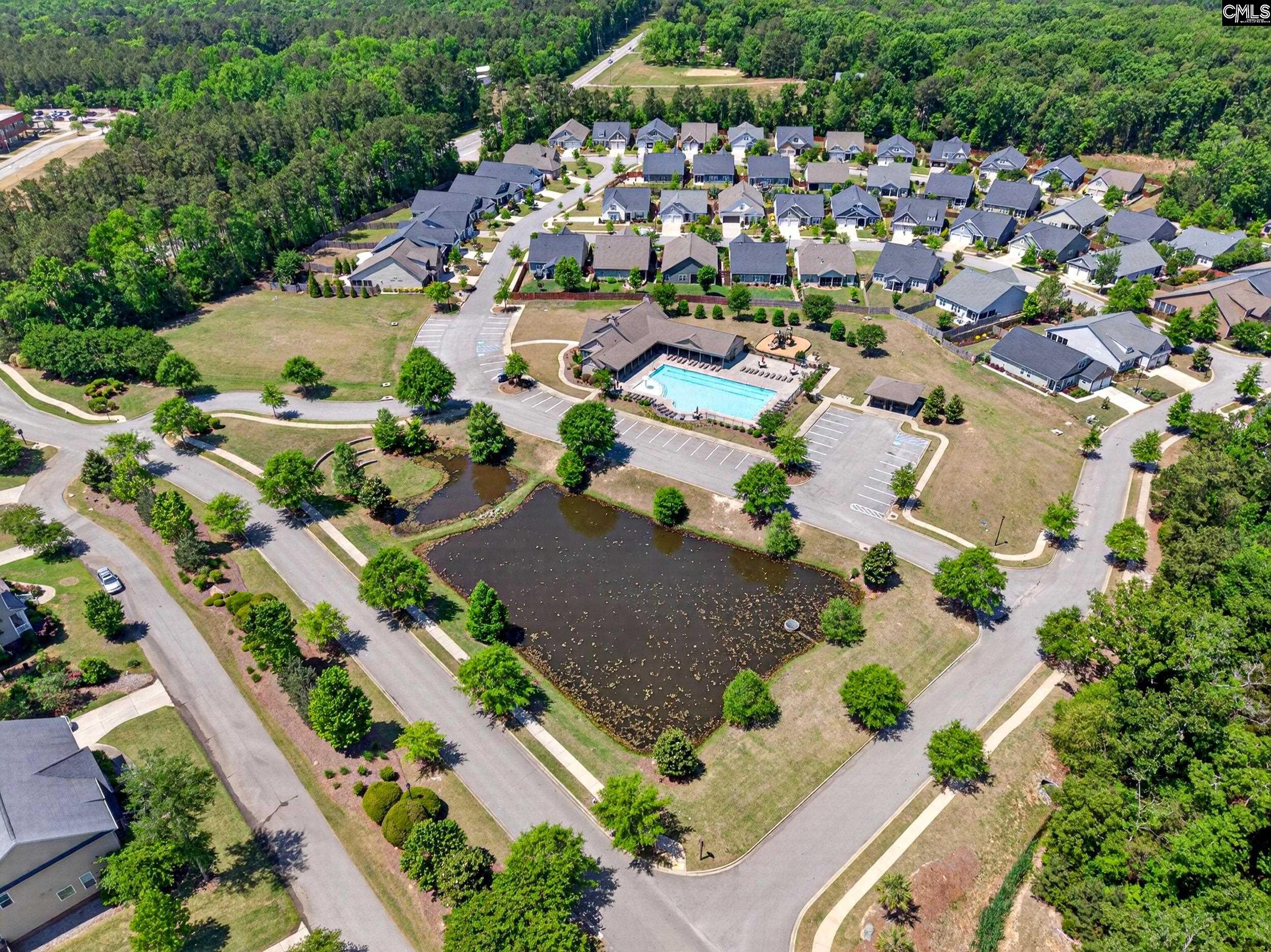 436 Maria Posada Court Chapin, SC 29036 - Photo 68 of 73