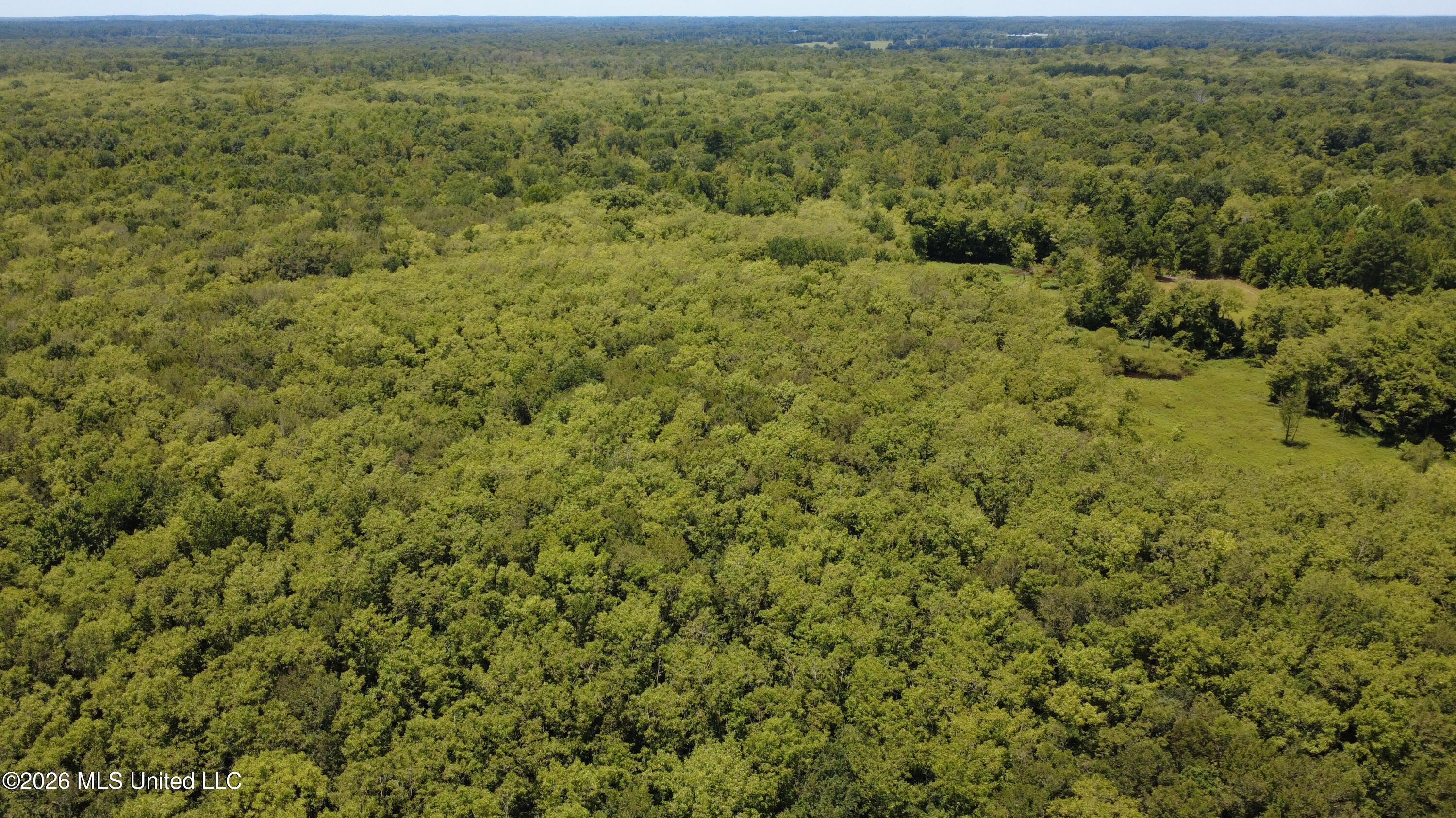 No Street Preston, MS 39354 - Photo 2 of 15 DJI_0095