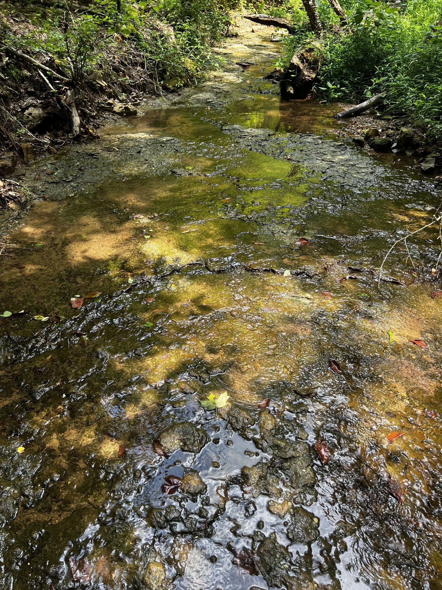 0 Hughes Hollow Road Lawrenceburg, TN 38464 - Photo 12 of 80 a view of a lake view