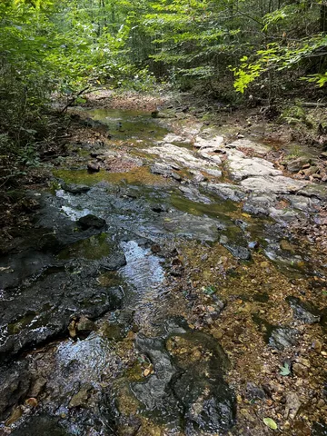 a view of outdoor space and green space