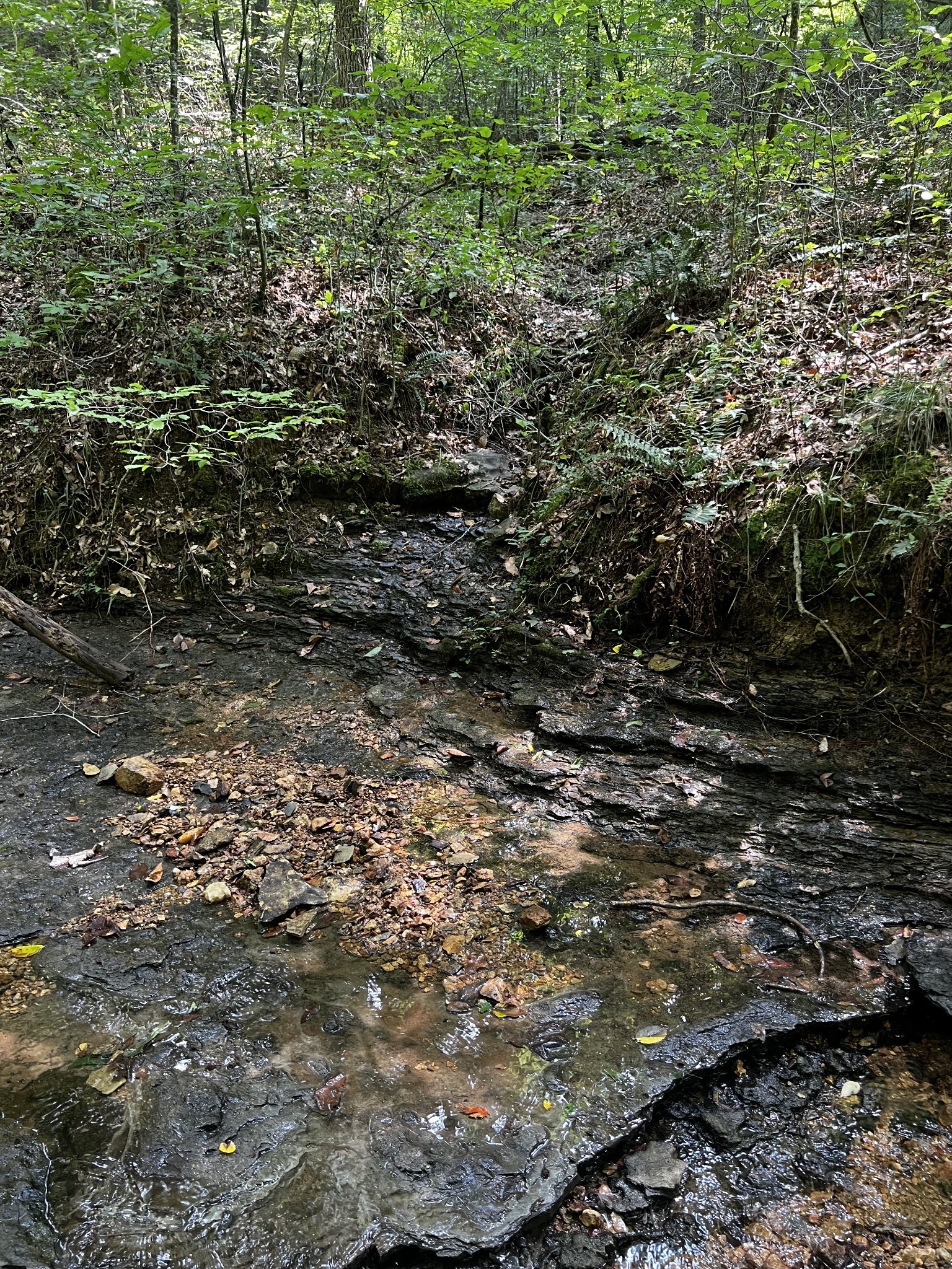 0 Hughes Hollow Road Lawrenceburg, TN 38464 - Photo 18 of 80