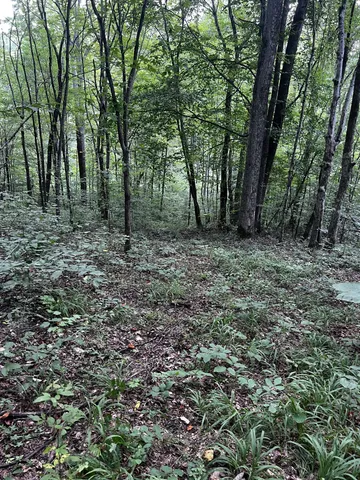 a view of an outdoor space and a yard