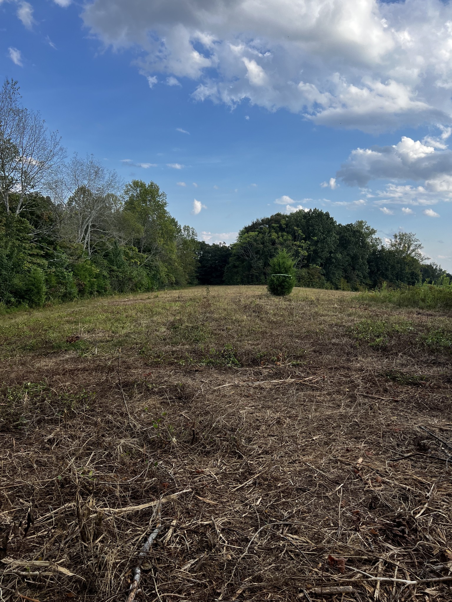 0 Hughes Hollow Road Lawrenceburg, TN 38464 - Photo 27 of 80 a view of an outdoor space with mountain view