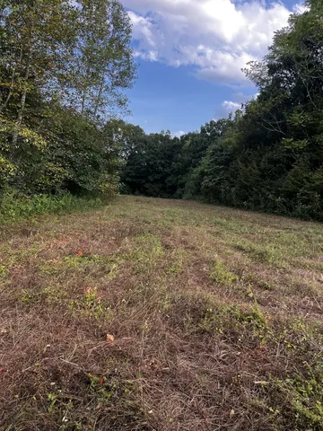 a view of a large yard with lots of green space