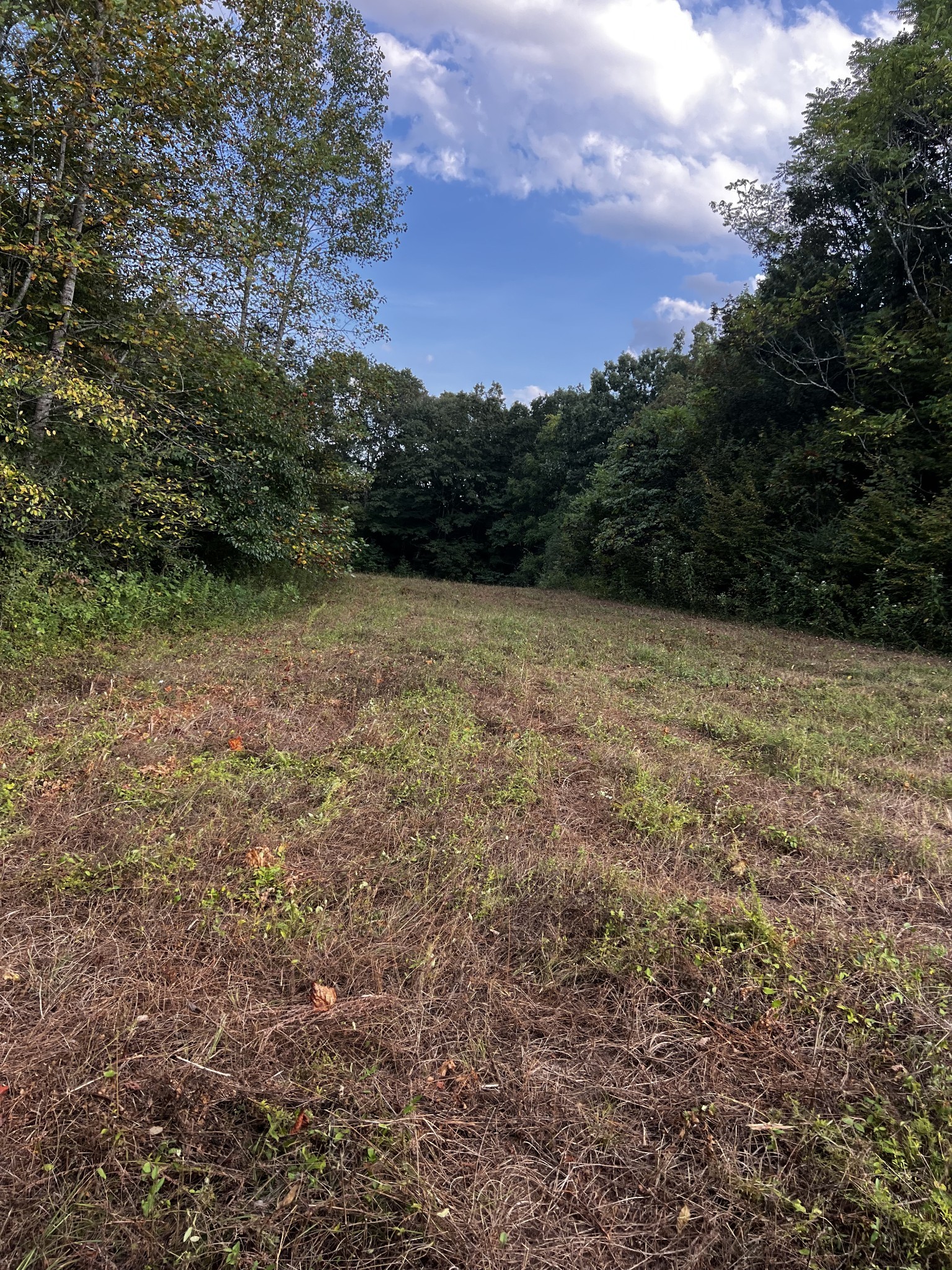 0 Hughes Hollow Road Lawrenceburg, TN 38464 - Photo 28 of 80