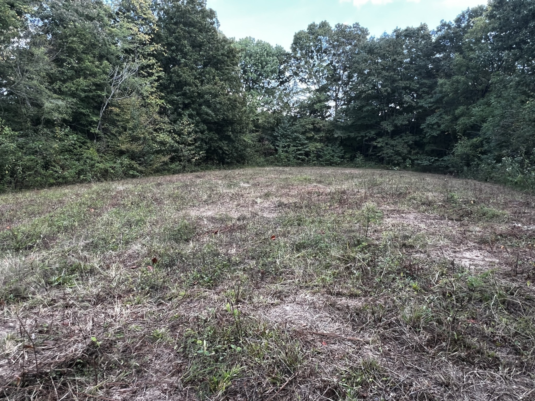 0 Hughes Hollow Road Lawrenceburg, TN 38464 - Photo 29 of 80