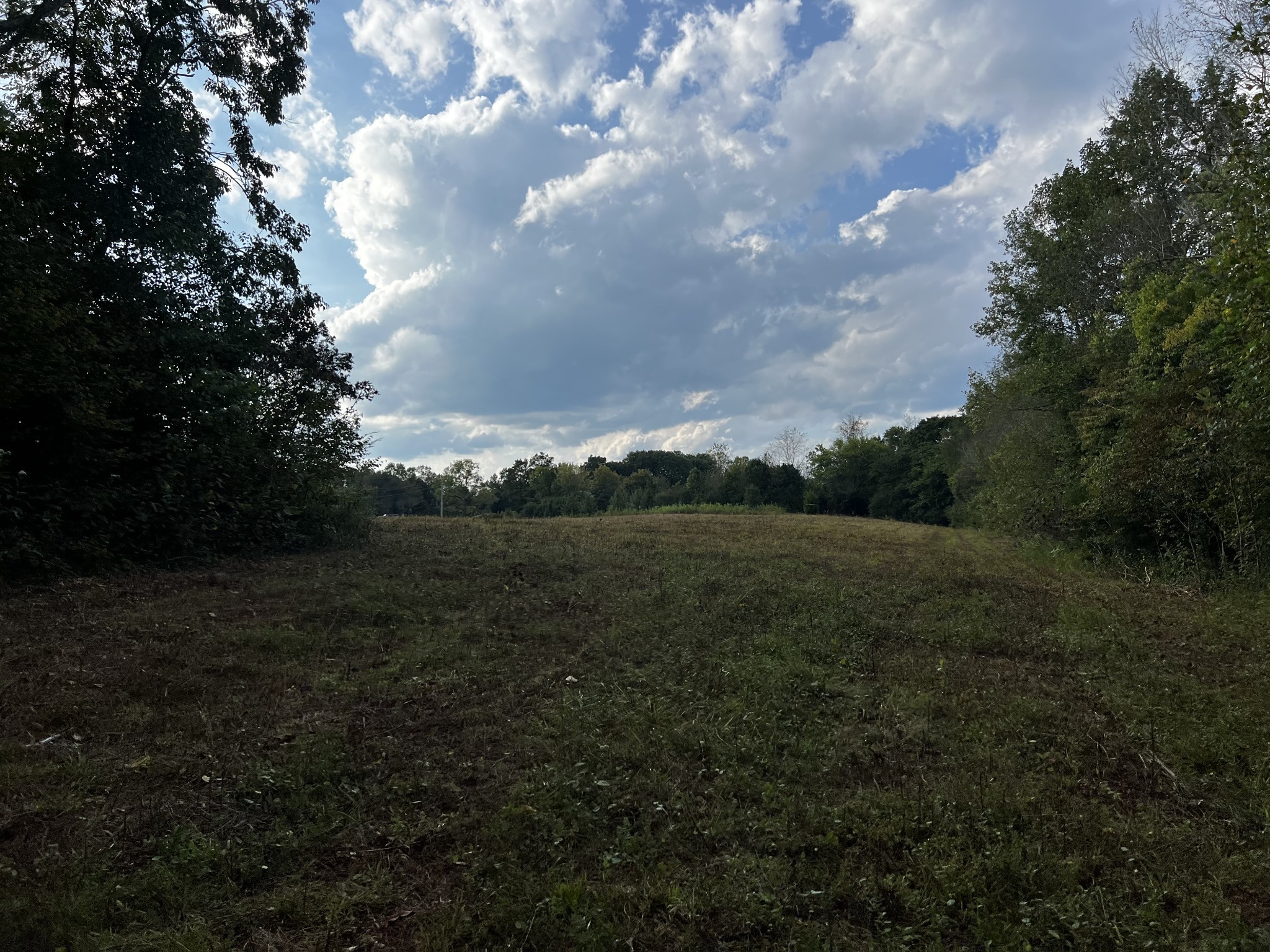 0 Hughes Hollow Road Lawrenceburg, TN 38464 - Photo 30 of 80