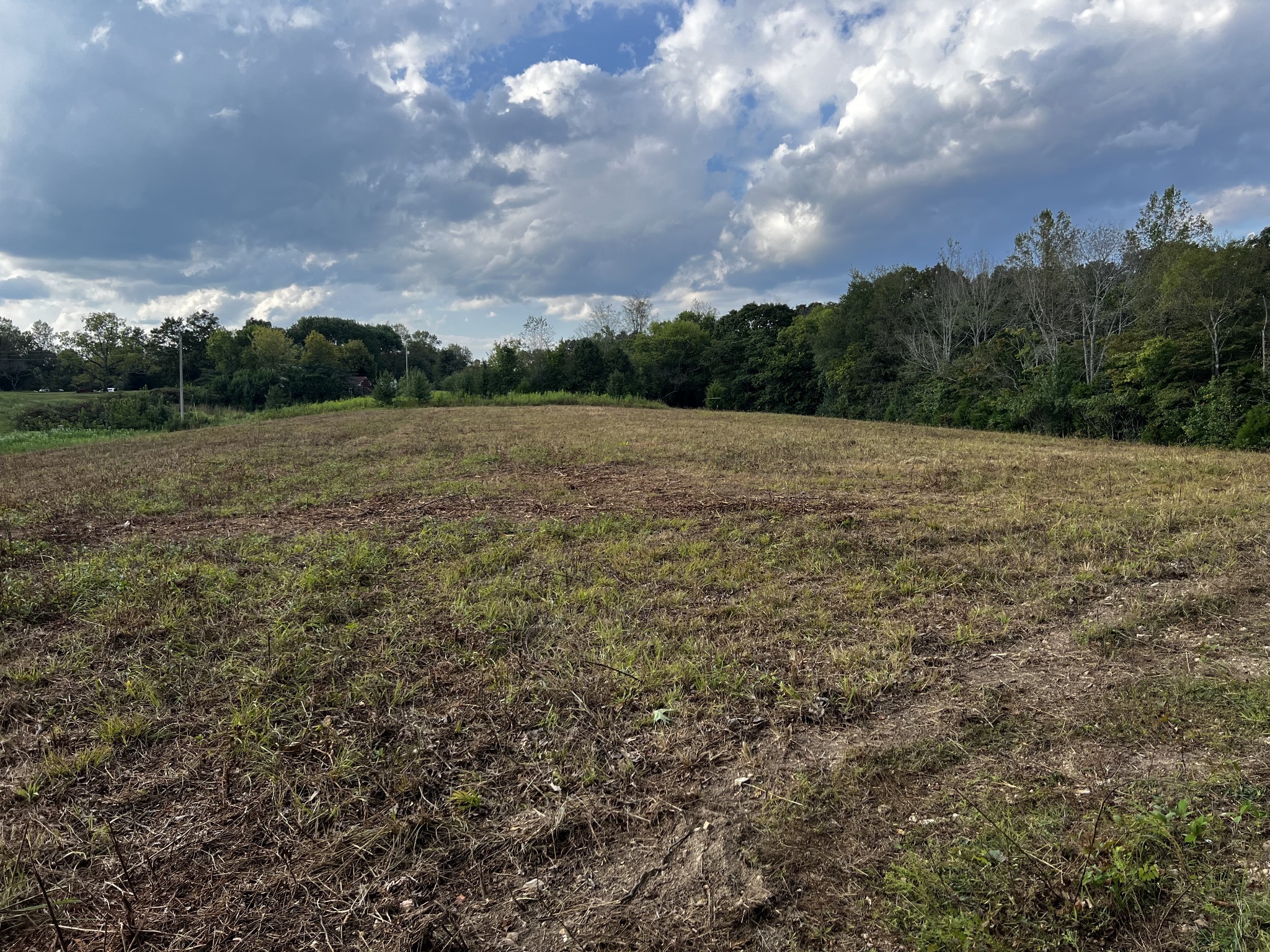 0 Hughes Hollow Road Lawrenceburg, TN 38464 - Photo 31 of 80 a view of an outdoor space and a yard