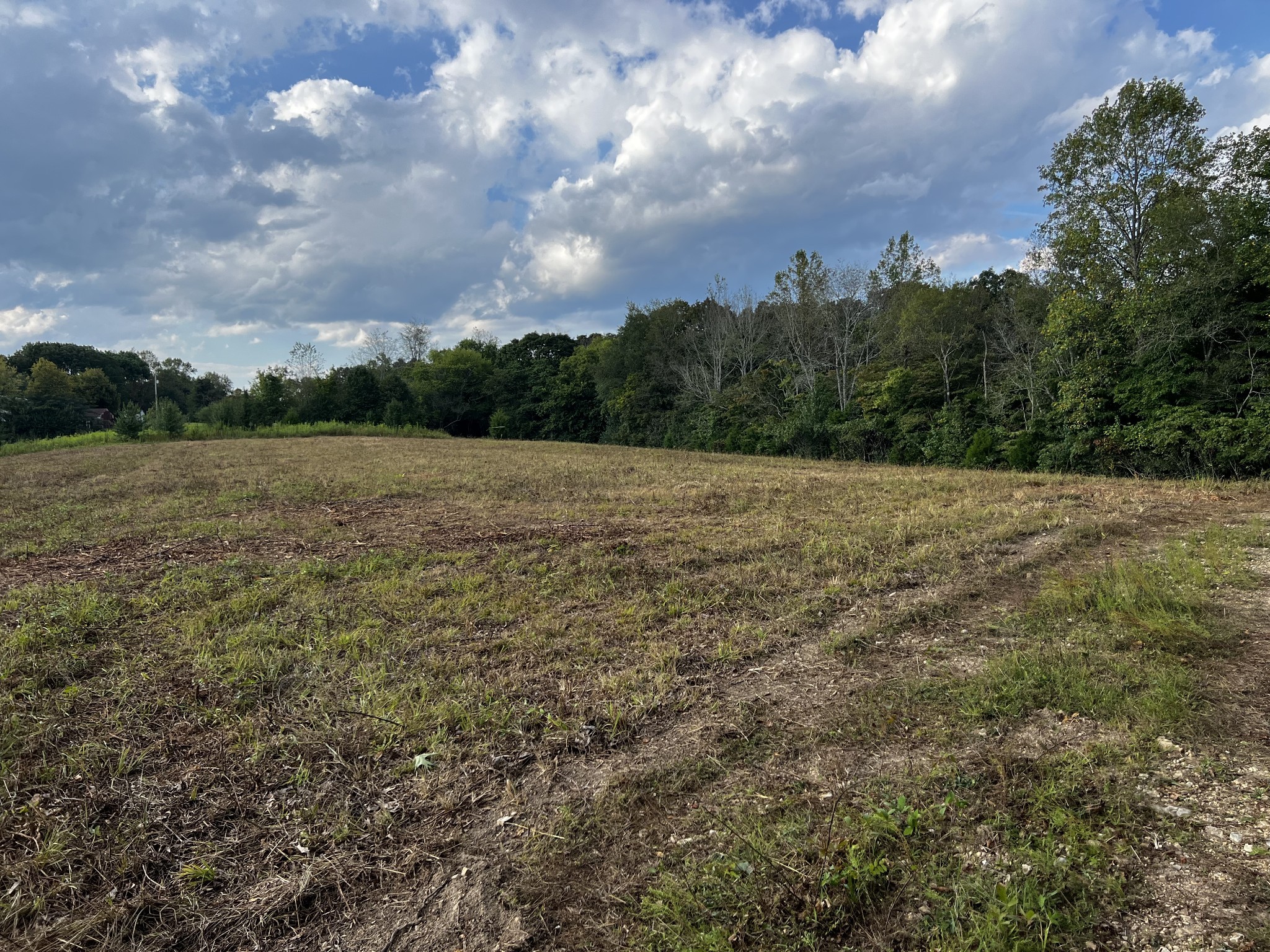 0 Hughes Hollow Road Lawrenceburg, TN 38464 - Photo 32 of 80