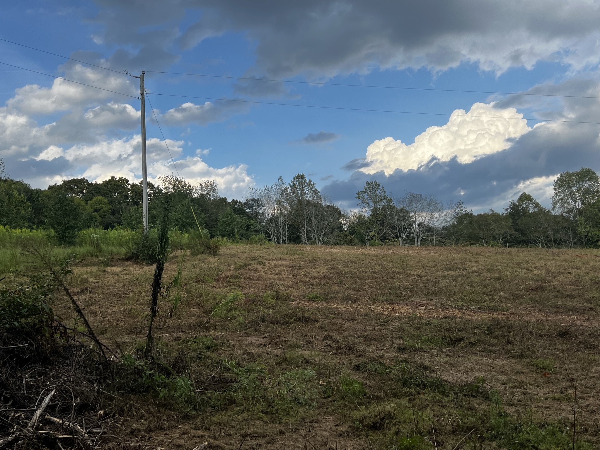 0 Hughes Hollow Road Lawrenceburg, TN 38464 - Photo 33 of 80