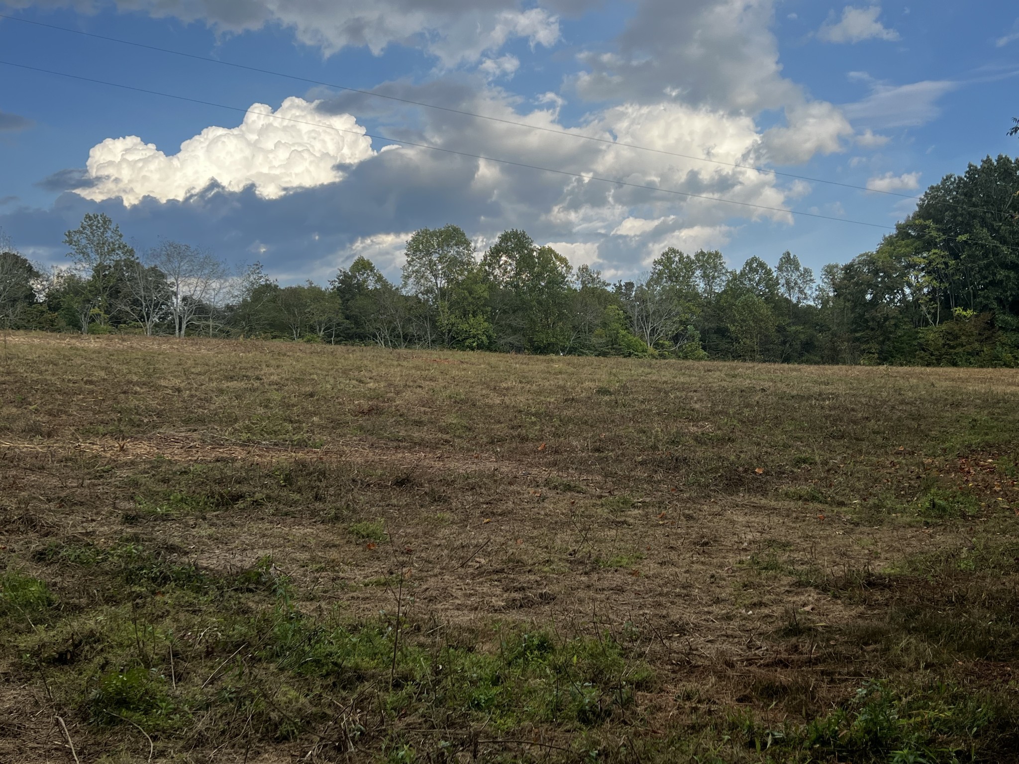 0 Hughes Hollow Road Lawrenceburg, TN 38464 - Photo 34 of 80 a view of an outdoor space and a yard