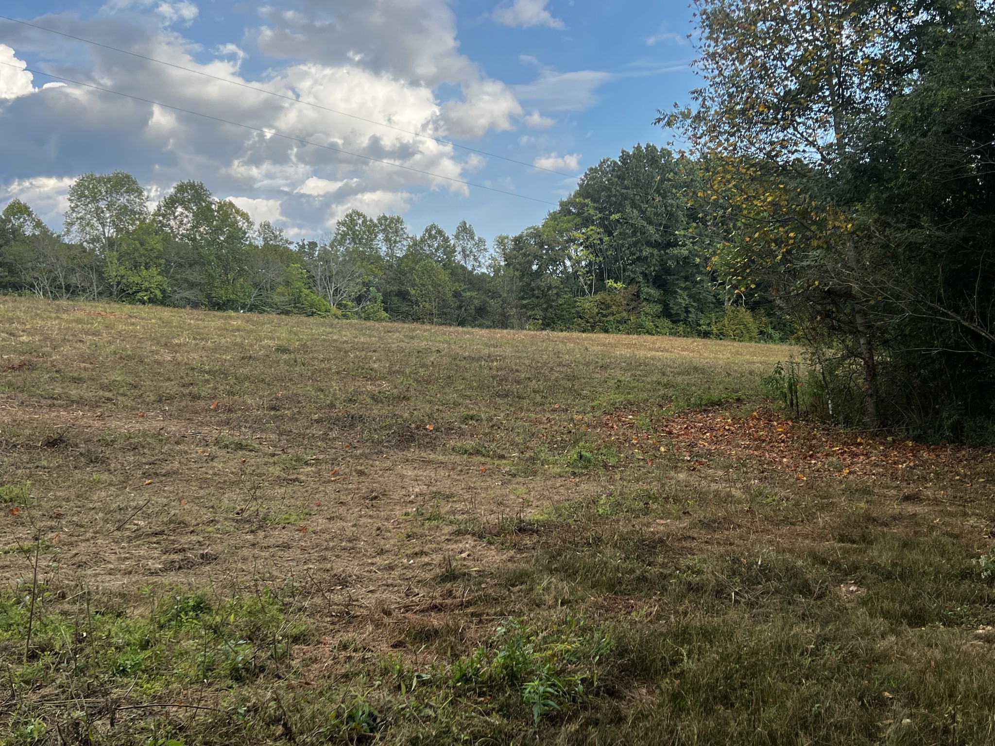 0 Hughes Hollow Road Lawrenceburg, TN 38464 - Photo 35 of 80 a view of an outdoor space and a yard