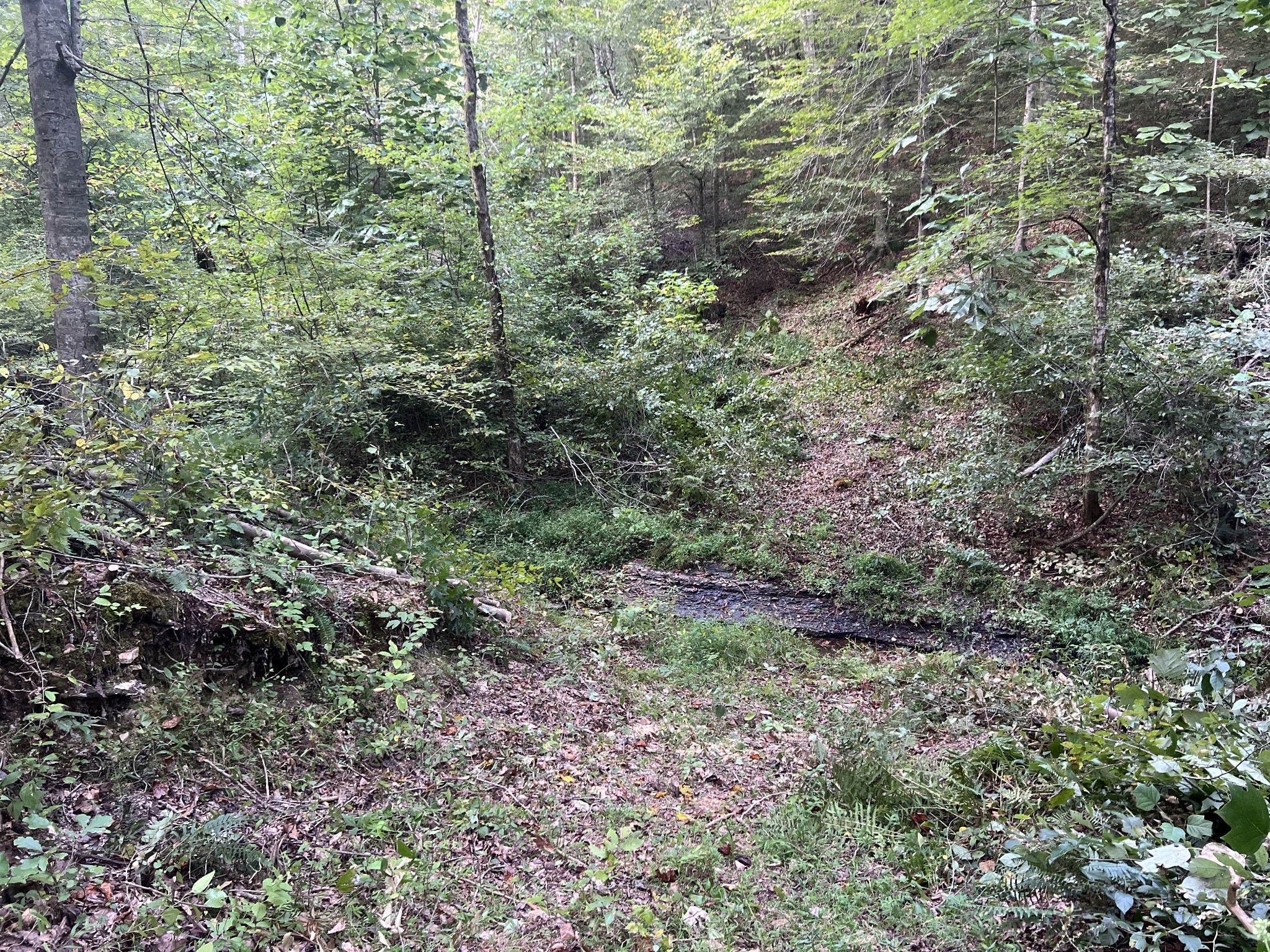 0 Hughes Hollow Road Lawrenceburg, TN 38464 - Photo 39 of 80