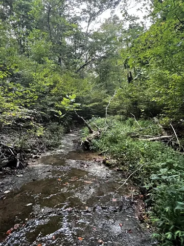 a view of an outdoor space with mountain view