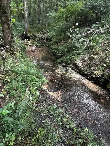 $260,000 | 0 Hughes Hollow Road, Lawrenceburg, TN 38464