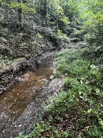 $260,000 | 0 Hughes Hollow Road, Lawrenceburg, TN 38464