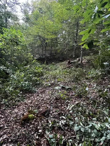 $260,000 | 0 Hughes Hollow Road, Lawrenceburg, TN 38464