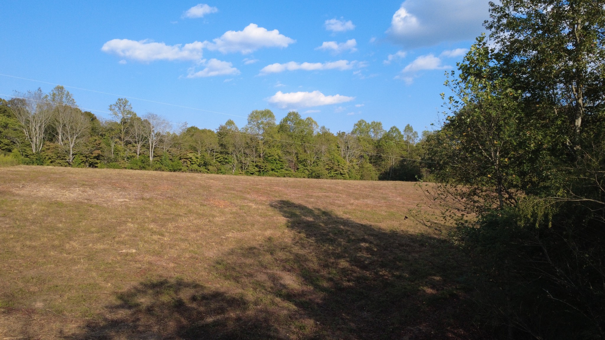 0 Hughes Hollow Road Lawrenceburg, TN 38464 - Photo 54 of 80 a view of a field with trees in the background