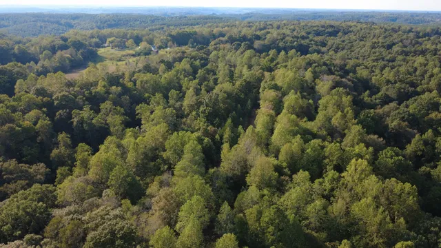 $260,000 | 0 Hughes Hollow Road, Lawrenceburg, TN 38464