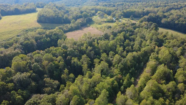 $260,000 | 0 Hughes Hollow Road, Lawrenceburg, TN 38464