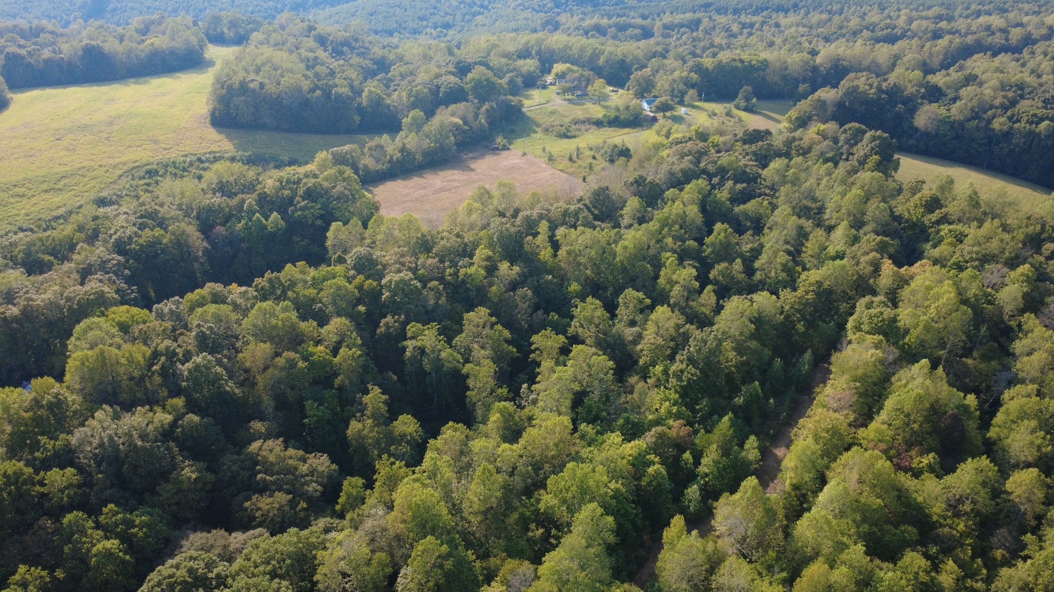 0 Hughes Hollow Road Lawrenceburg, TN 38464 - Photo 58 of 80