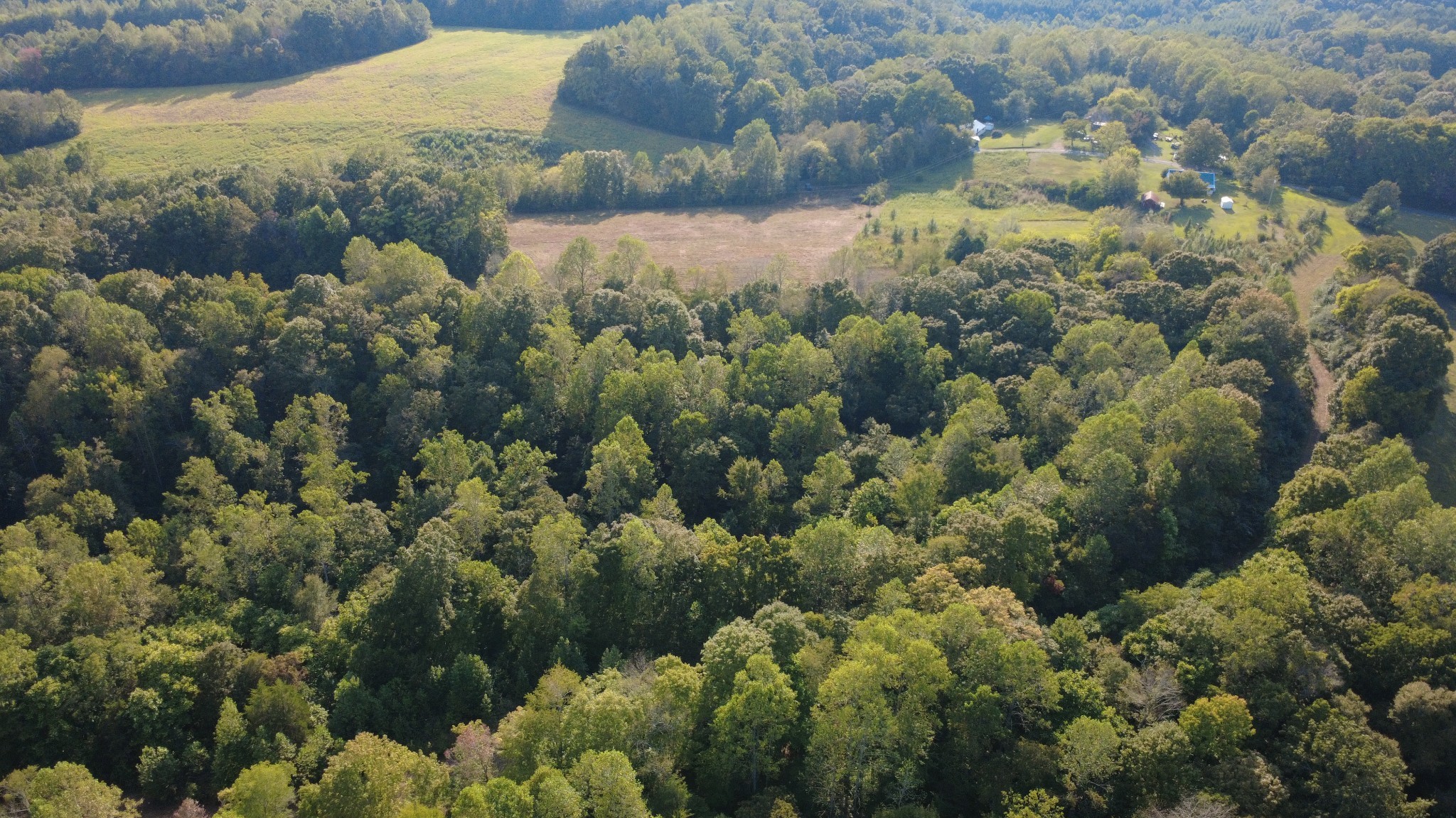 0 Hughes Hollow Road Lawrenceburg, TN 38464 - Photo 59 of 80