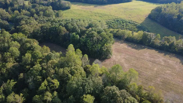 $260,000 | 0 Hughes Hollow Road, Lawrenceburg, TN 38464