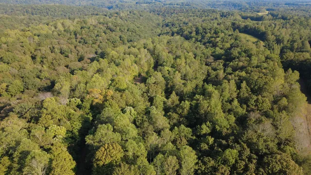 $260,000 | 0 Hughes Hollow Road, Lawrenceburg, TN 38464