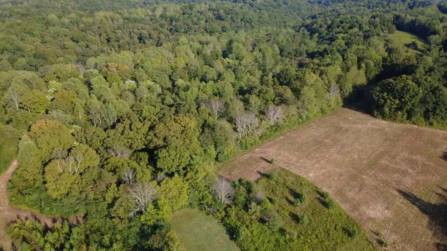 $260,000 | 0 Hughes Hollow Road, Lawrenceburg, TN 38464