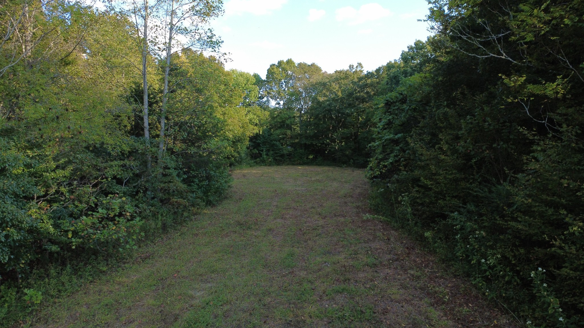 0 Hughes Hollow Road Lawrenceburg, TN 38464 - Photo 70 of 80 a view of a forest with trees in the background