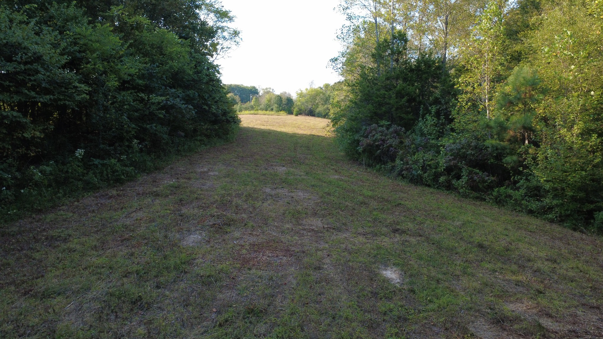 0 Hughes Hollow Road Lawrenceburg, TN 38464 - Photo 72 of 80