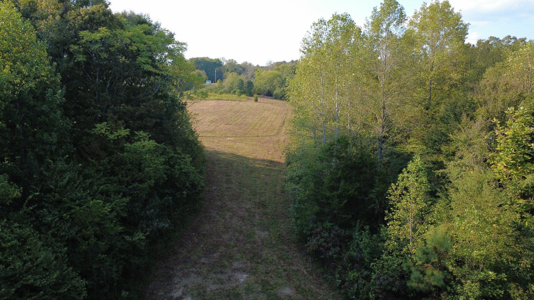 0 Hughes Hollow Road Lawrenceburg, TN 38464 - Photo 73 of 80 a view of a house with a yard