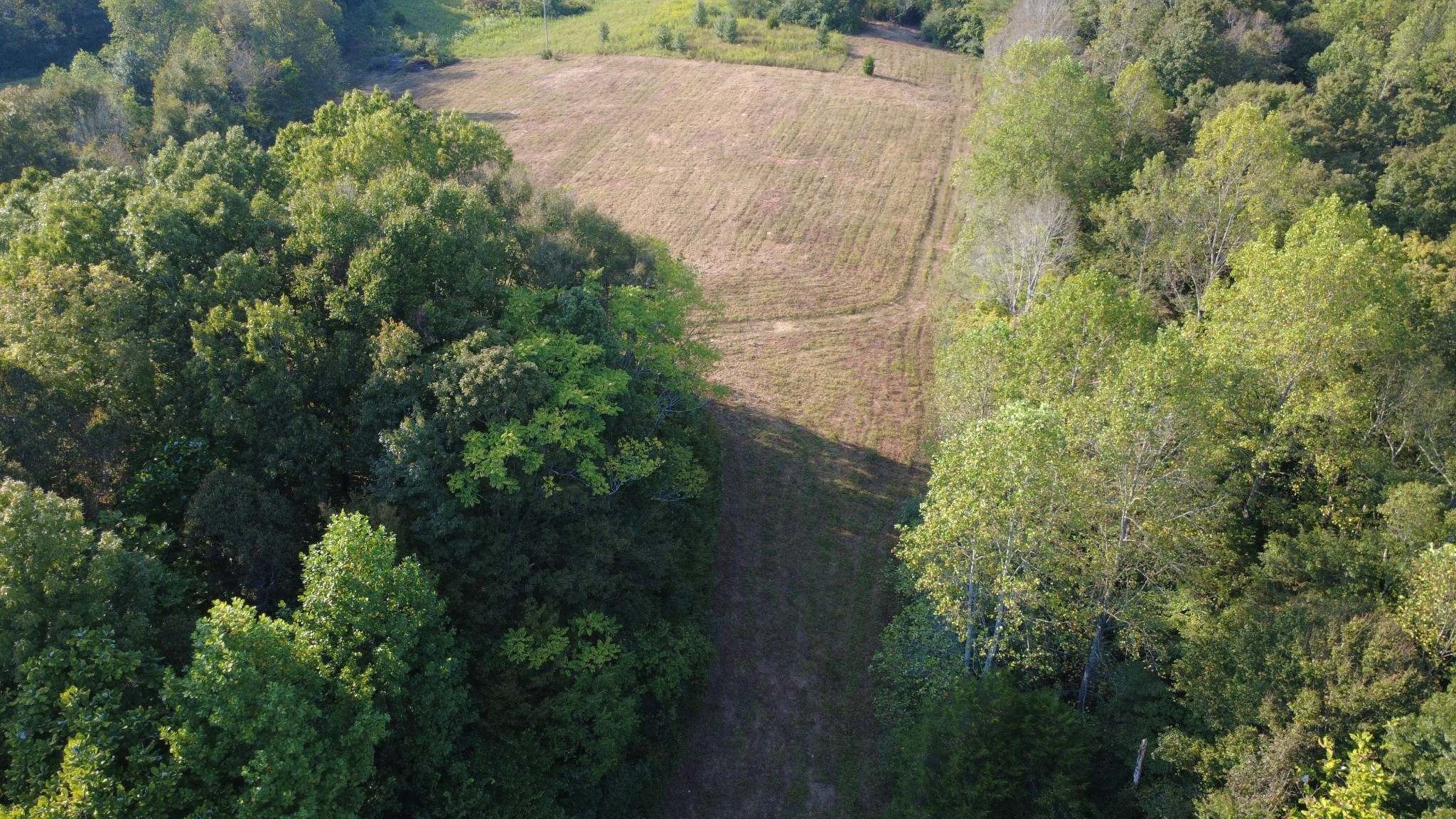 0 Hughes Hollow Road Lawrenceburg, TN 38464 - Photo 74 of 80 a view of a pathway both side of yard