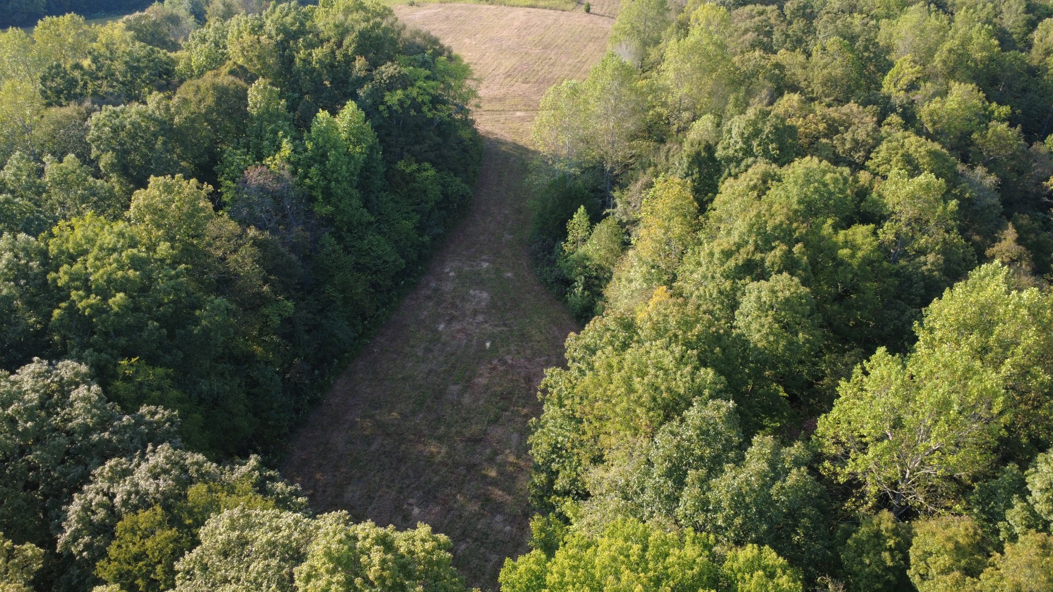 0 Hughes Hollow Road Lawrenceburg, TN 38464 - Photo 75 of 80 a view of a garden with plants and large trees