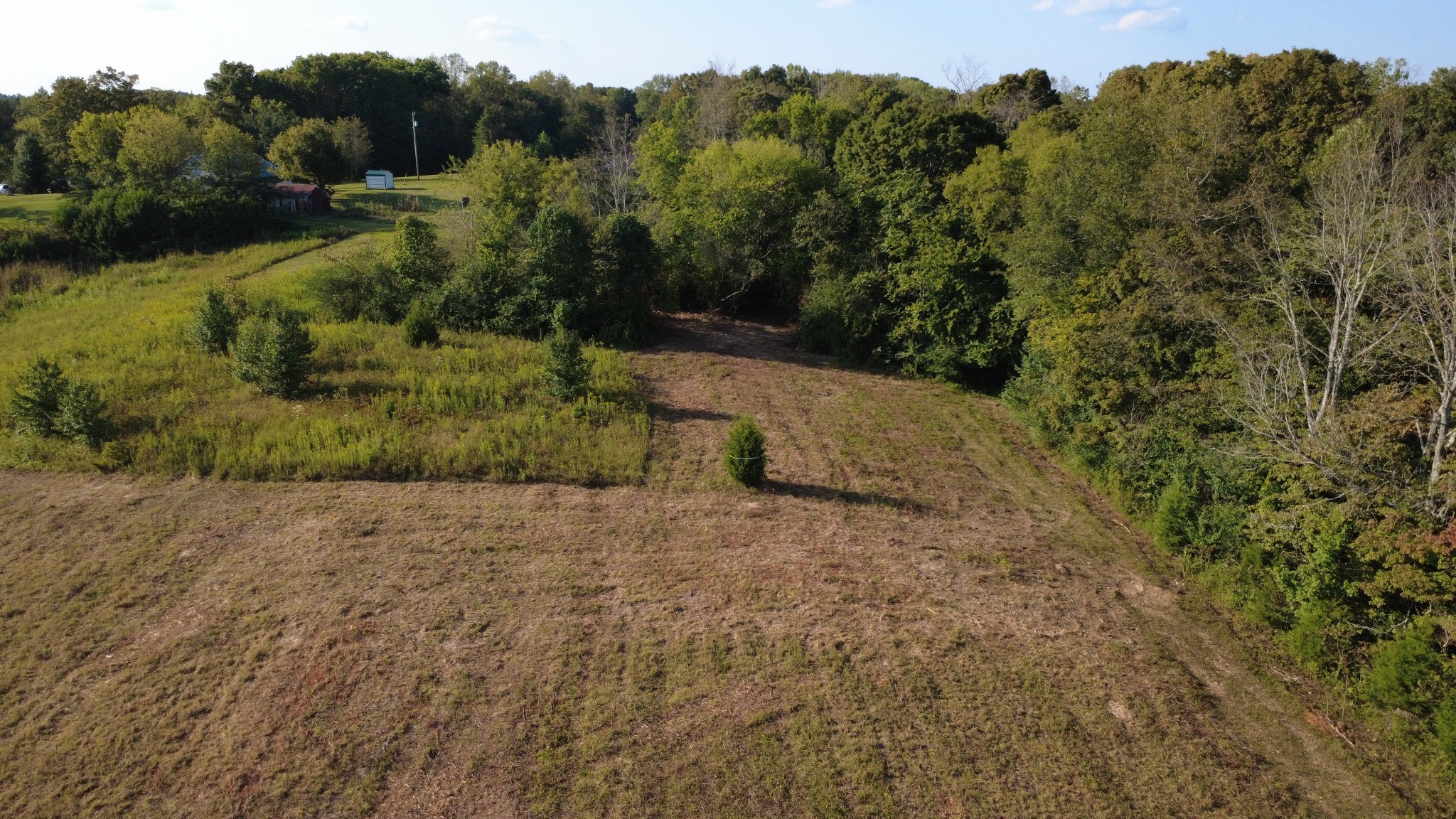 0 Hughes Hollow Road Lawrenceburg, TN 38464 - Photo 77 of 80 a view of a rural road with plants