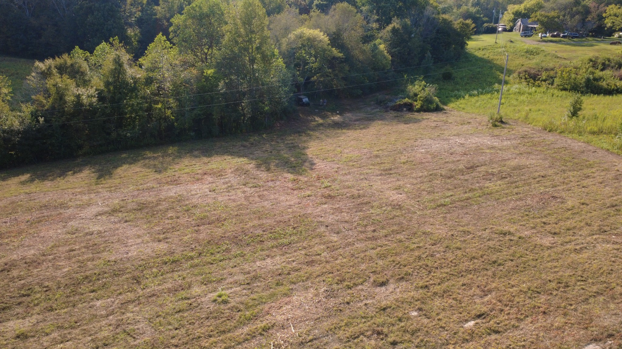 0 Hughes Hollow Road Lawrenceburg, TN 38464 - Photo 78 of 80 a view of a yard with trees