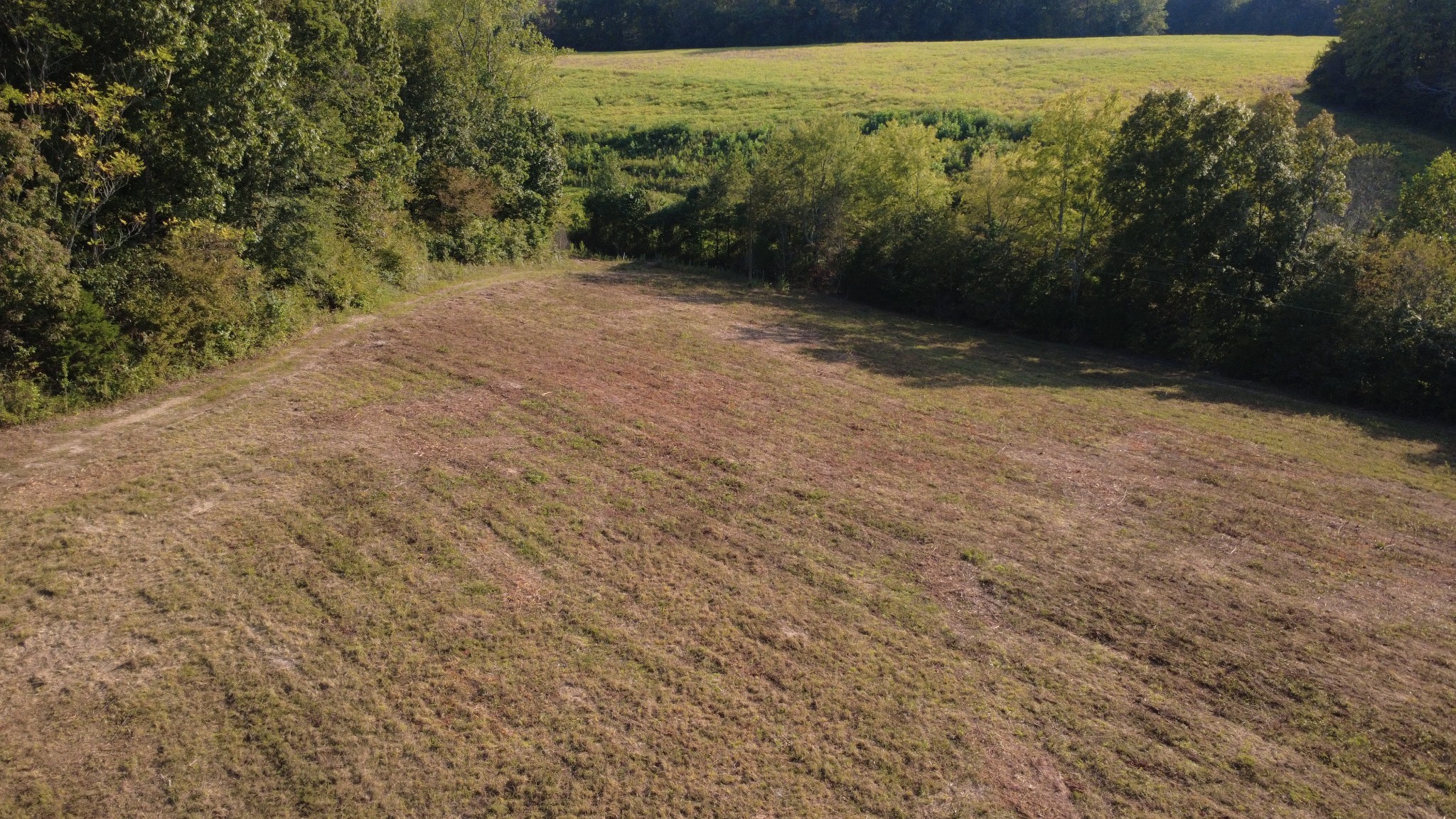 0 Hughes Hollow Road Lawrenceburg, TN 38464 - Photo 79 of 80 a view of an outdoor space with mountain view
