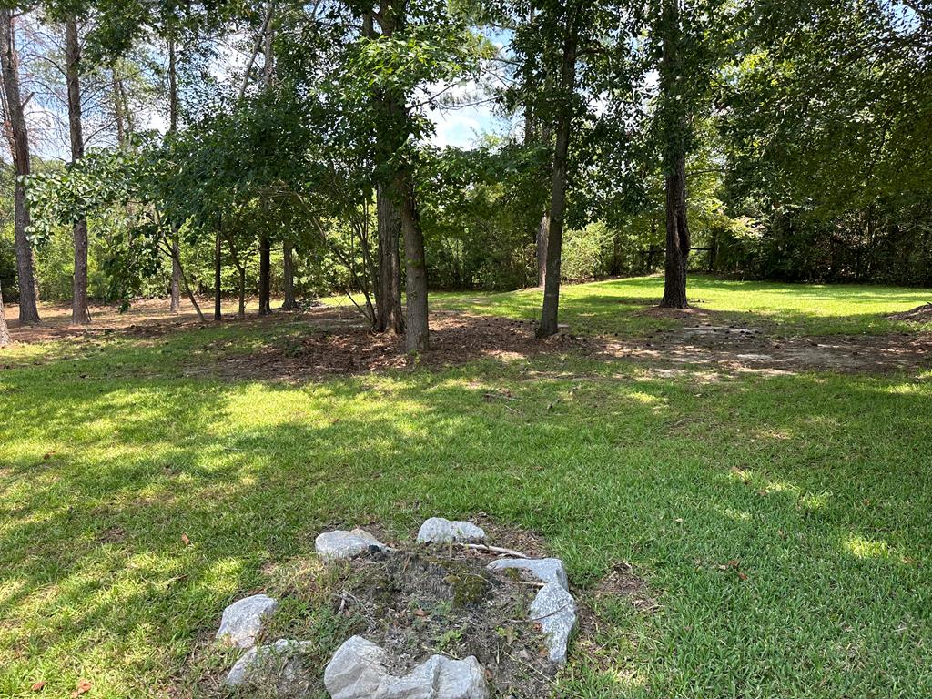 4205 Prevatt Road Cowarts, AL 36321 - Photo 42 of 48