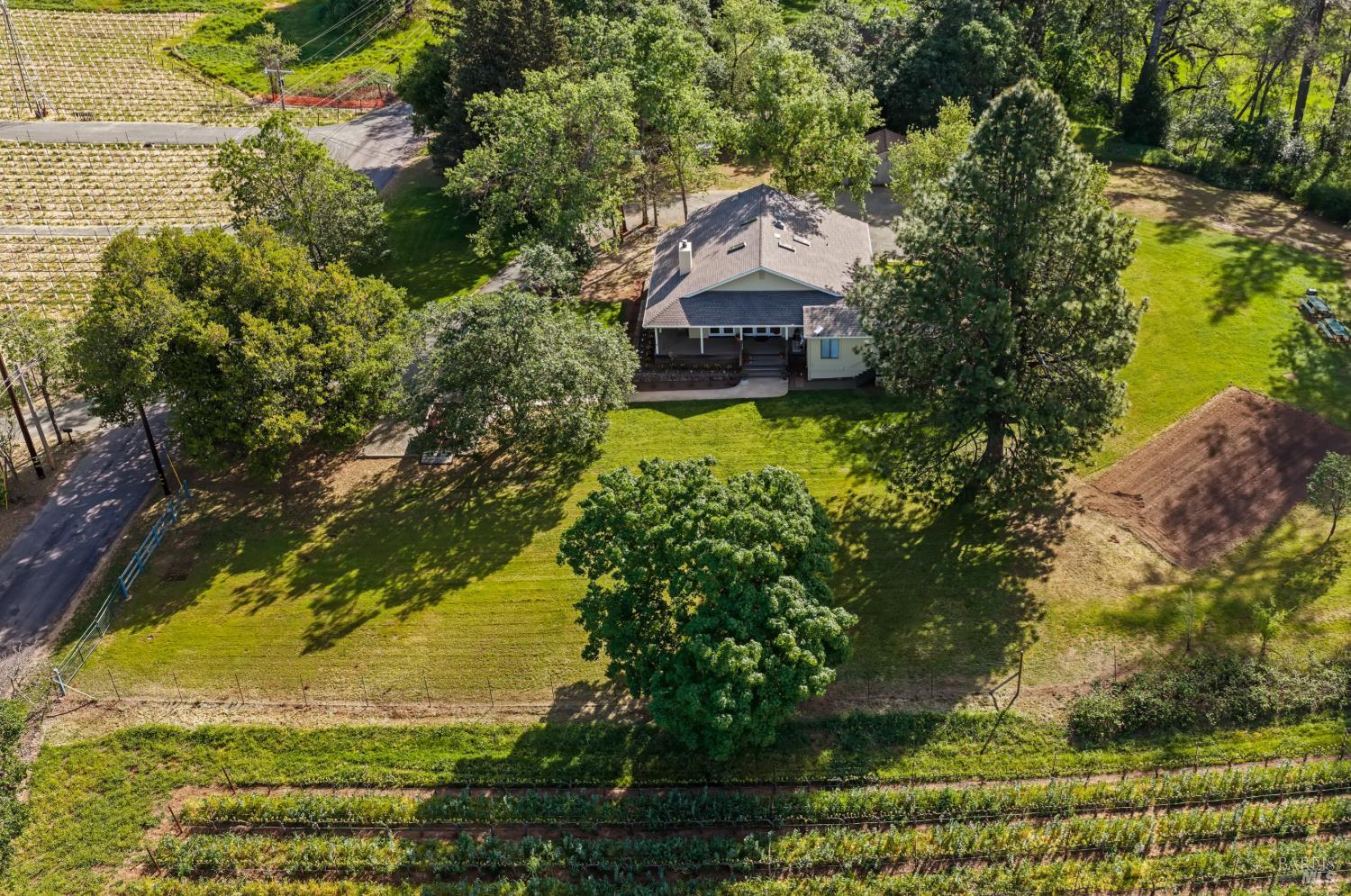 539 Keyes Avenue Angwin, CA 94508 - Photo 10 of 43